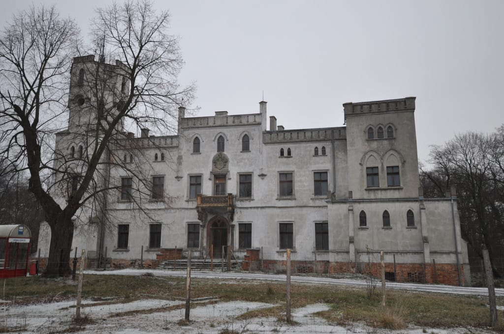 Ogród pałacowy