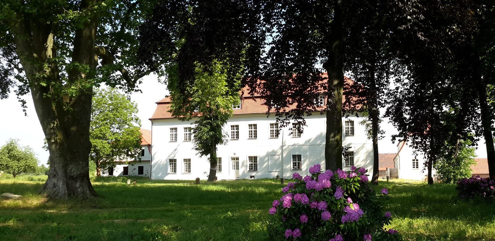 Rewitalizacja parku i elewacji